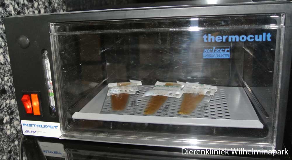 Een broedstoof vol met in pouches